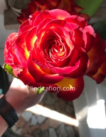 ORDINI PER ESTERO O CITTA' FUORI PROVINCIA